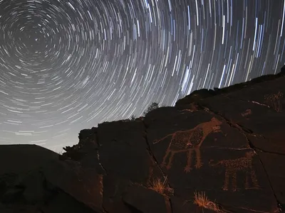 Depictions of catlike animals are visible on stones under a rotating, starry sky.

