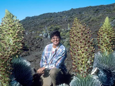 A woman in a blue checkered shirt kneels on the ground with tall, green plans surrounding her on both sides.