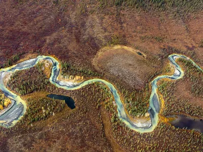 Minerals from a melting glacier mix with clear water and wind a colorful path through the trees at Gates of the Arctic National Park and Preserve.

