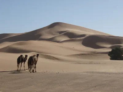 Scientists studied the&nbsp;Lala Lallia star dune in the Sahara Desert in eastern Morocco.