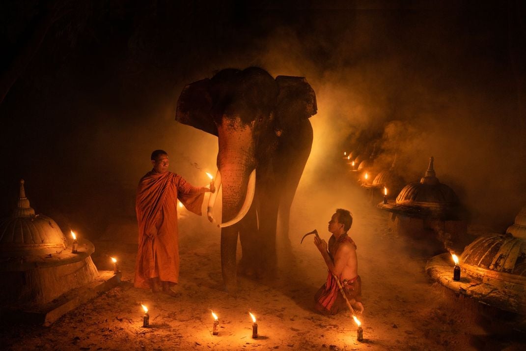 13 - In Thailand, where elephants are revered as sacred, their remains are buried in cemeteries by monks who pray for them before they’re interred.