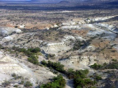 An overview of the Olorgesailie basin landscape, where the archeological site exists that contains stone weapons and tools