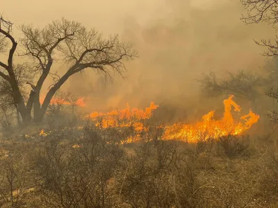 The Smokehouse Creek Fire has become the largest wildfire in Texas history.