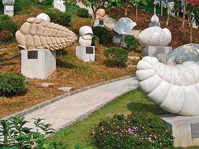 Foraminifera provide scientists with an invaluable fossil record. Their exquisite outer shells, normally too small for the naked eye, inspired sculptures in Zhongshan, China.