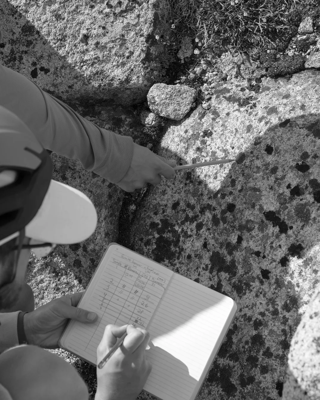 Students note the site of a lichen-spotted boulder.